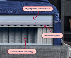 Lux Hybrid inside view